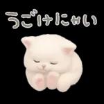 モフモフ白ネコ