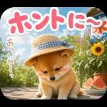 とびだす★夏 柴犬★わんこ♡犬
