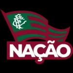 Fluminense sticker