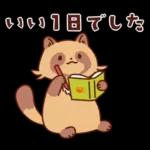 imananishiteru tanuki