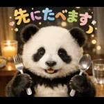 飛び出す♡パンダの家族連絡