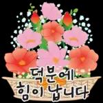 오늘은 꽃 주는 날 2