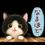 ねこちぃず♡毎日使える!挨拶とあいづち