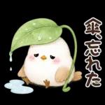 梅雨と夏のやさしい気遣い言葉♡シマエナガ