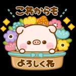 ポコちゃんピッグスプリングポップアップ