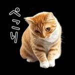 リアルな猫の敬語