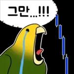 투자 전문가, 껄무새