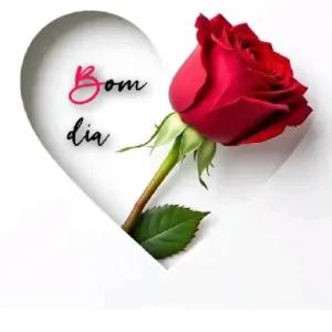 Bom dia - getsticker.com