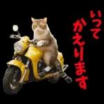 島根出雲弁☆にゃんこ