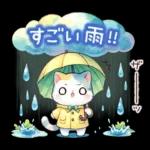 猫のつめあわせ【夏】