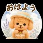 トイプードルの夏と梅雨のお天気カフェ