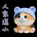 可愛小花貓超能幹的啦❤