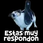 Estas muy  respondon