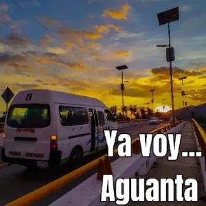Ya voy... Aguanta - getsticker.com