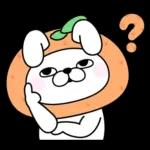 うさぎ&くま１００％ 冬の日常