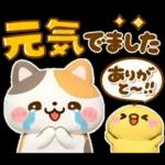大人の気遣い♡立体ねこねこにゃんこ