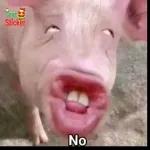 No
