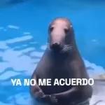 YA NO ME ACUERDO