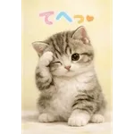 とびだす★ねこちゃんの日常