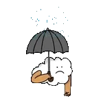 [날씨]초강력 태풍 '라가사' 中으로..