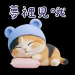 可愛小花貓超能幹的啦❤