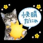 ねこちぃず♡梅雨〜初夏ver