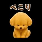 毎日使える【挨拶★返事】トイプードル