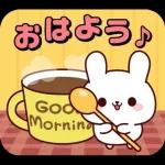 連絡白うさちゃん