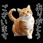 リアルな猫の敬語