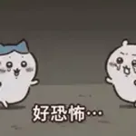 chikawa