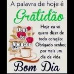 adesivos 