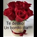 Te deseo Un bonito día!!!!