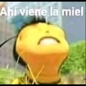 yIM52n
