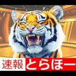 大阪神戸の野球好き虎ファン向け5とらほー