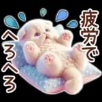 冬の猫のスコティッシュ【よく使う言葉】