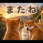 飛び出す♡雨の日わんこ