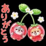 ぷくつやシール春❤️いやしばいぬ❤️犬敬語