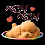 【秋冬】ずっと使える❤️日常会話 トイプー