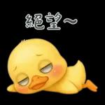 陰陽怪氣的小鴨鴨