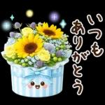 ずっと使える♡夏・梅雨にやさしい日常言葉