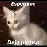 Arrr que riko