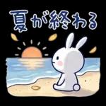 毎日使える夏☆ほぼ白うさぎ