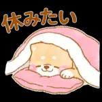 会社を辞めたい❤️いやしばいぬ❤️柴犬敬語