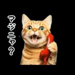 動く！猫の日常2