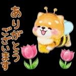 ぷくつやシール春❤️いやしばいぬ❤️犬敬語