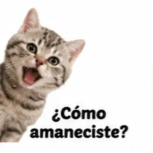 ¿Cómo amaneciste? - getsticker.com