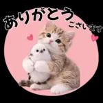 仲良し♡シマエナガと子猫ちゃん