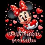 novo g