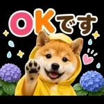 飛び出す♡雨の日わんこ