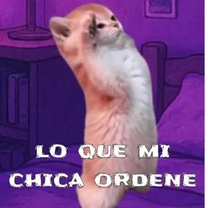 jSHhZK